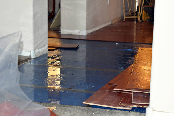 Professional Water Extraction technician working in New Concord, OH